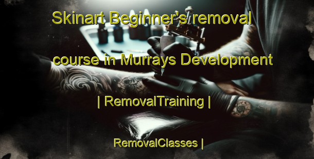 Skinart Beginner's removal course in Murrays Development | RemovalTraining | RemovalClasses | SkinartTraining-United States